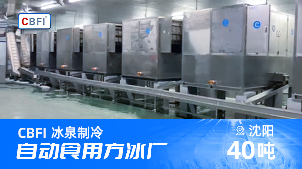 沈阳40T自动化冰厂