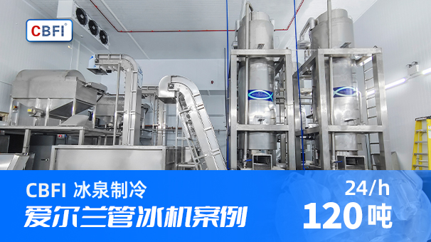 爱尔兰管冰厂案例